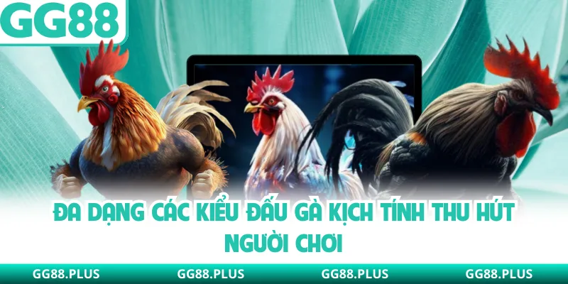 Đa dạng các kiểu đấu gà kịch tính thu hút người chơi